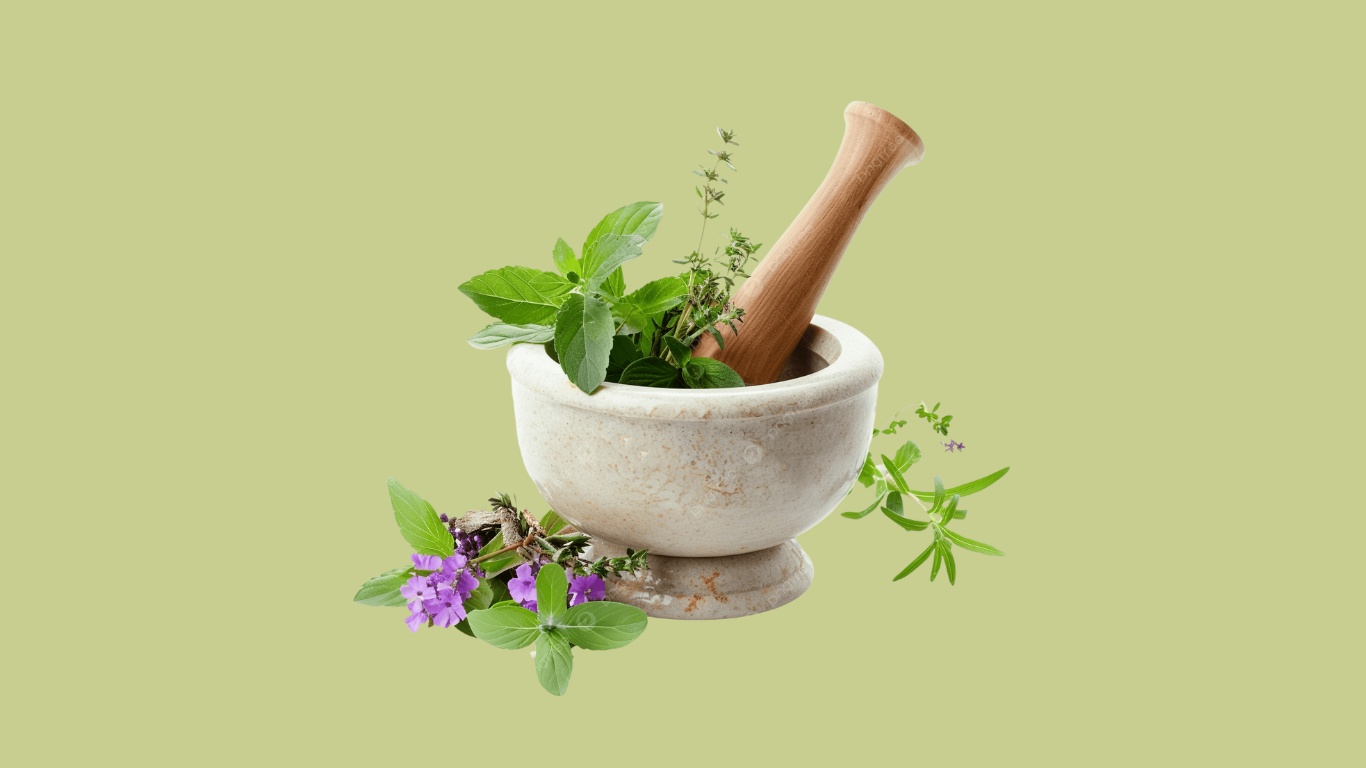 Ancient Healing, Modern Wellness